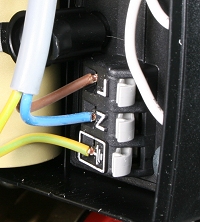 bx pt gold hea e66539 pmp ter.jpg